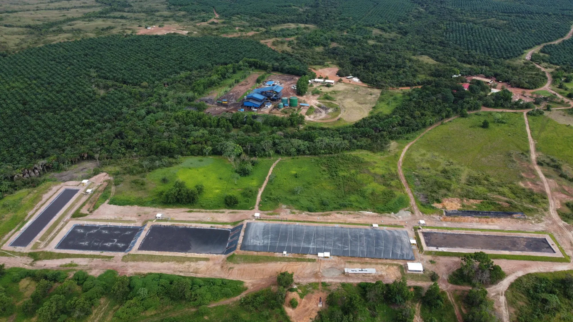 Vista aérea de una planta de biogás de STI rodeada de cultivo de palma